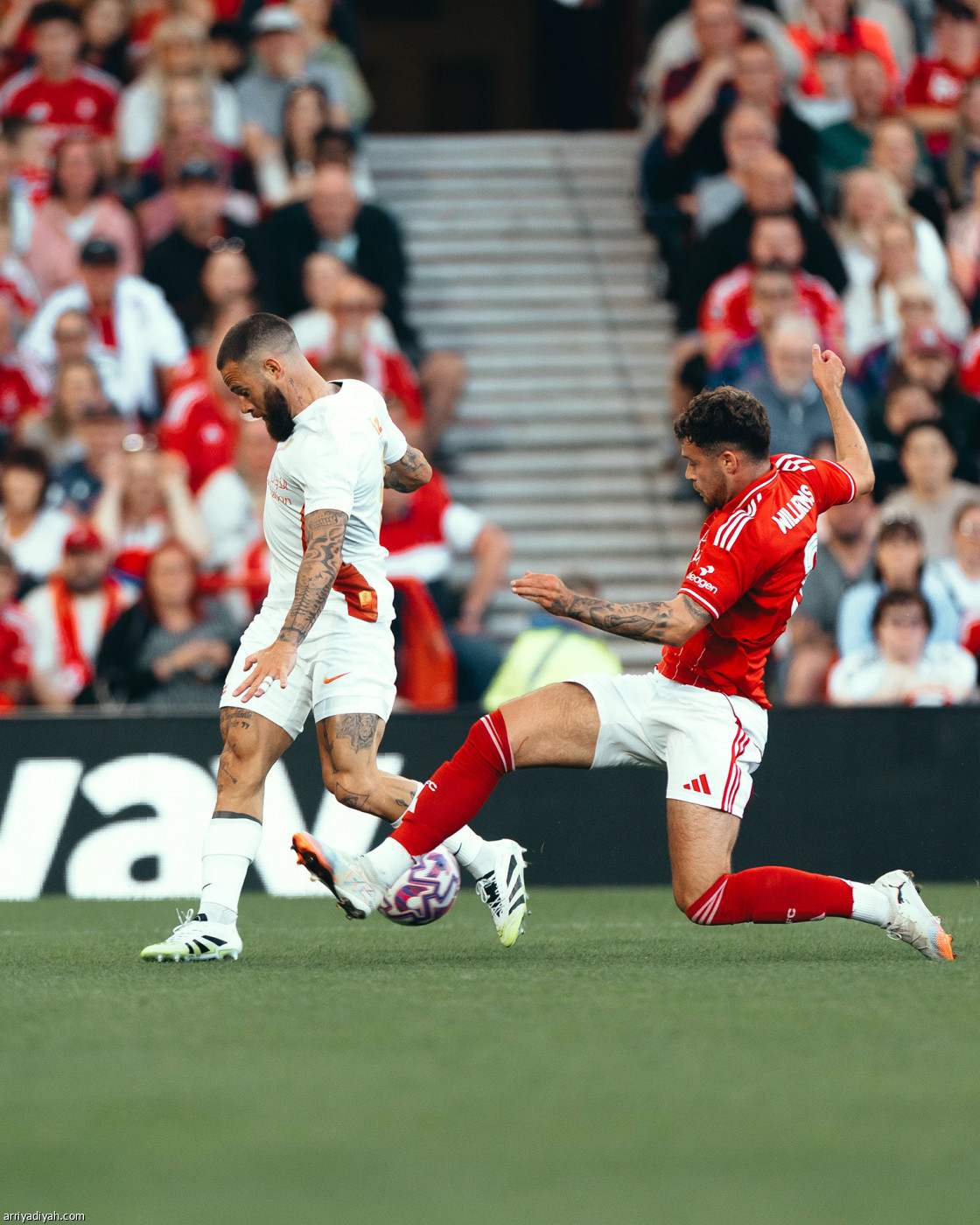 نهاية سلبية