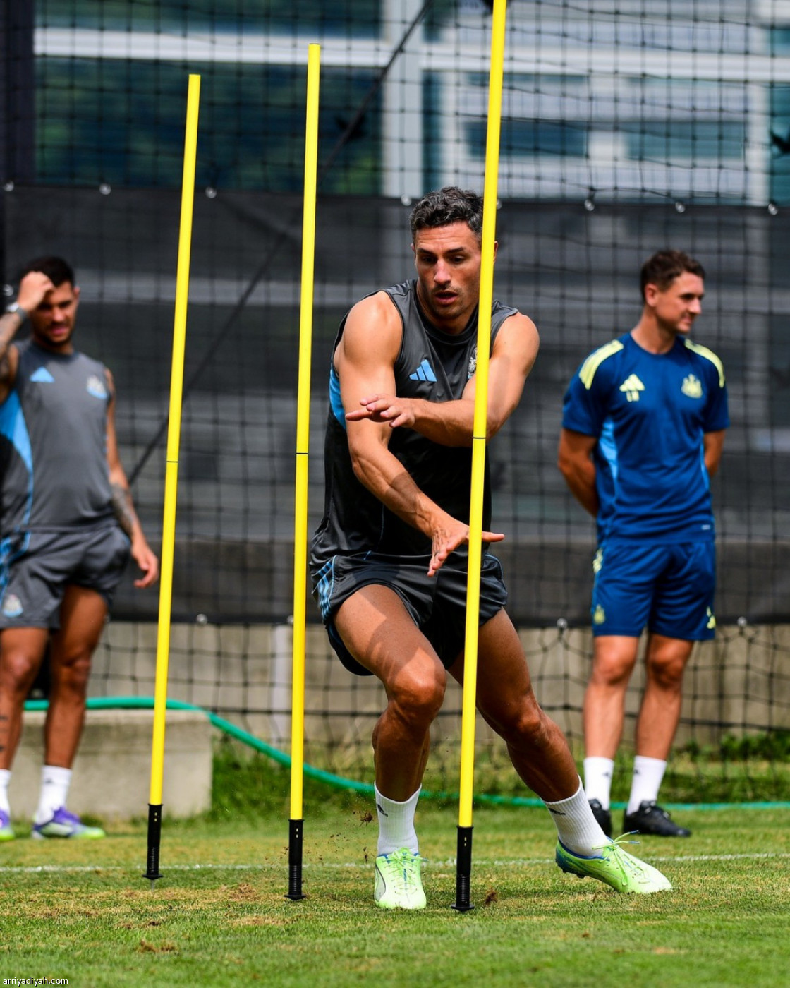 نيوكاسل.. نهاية الجولة