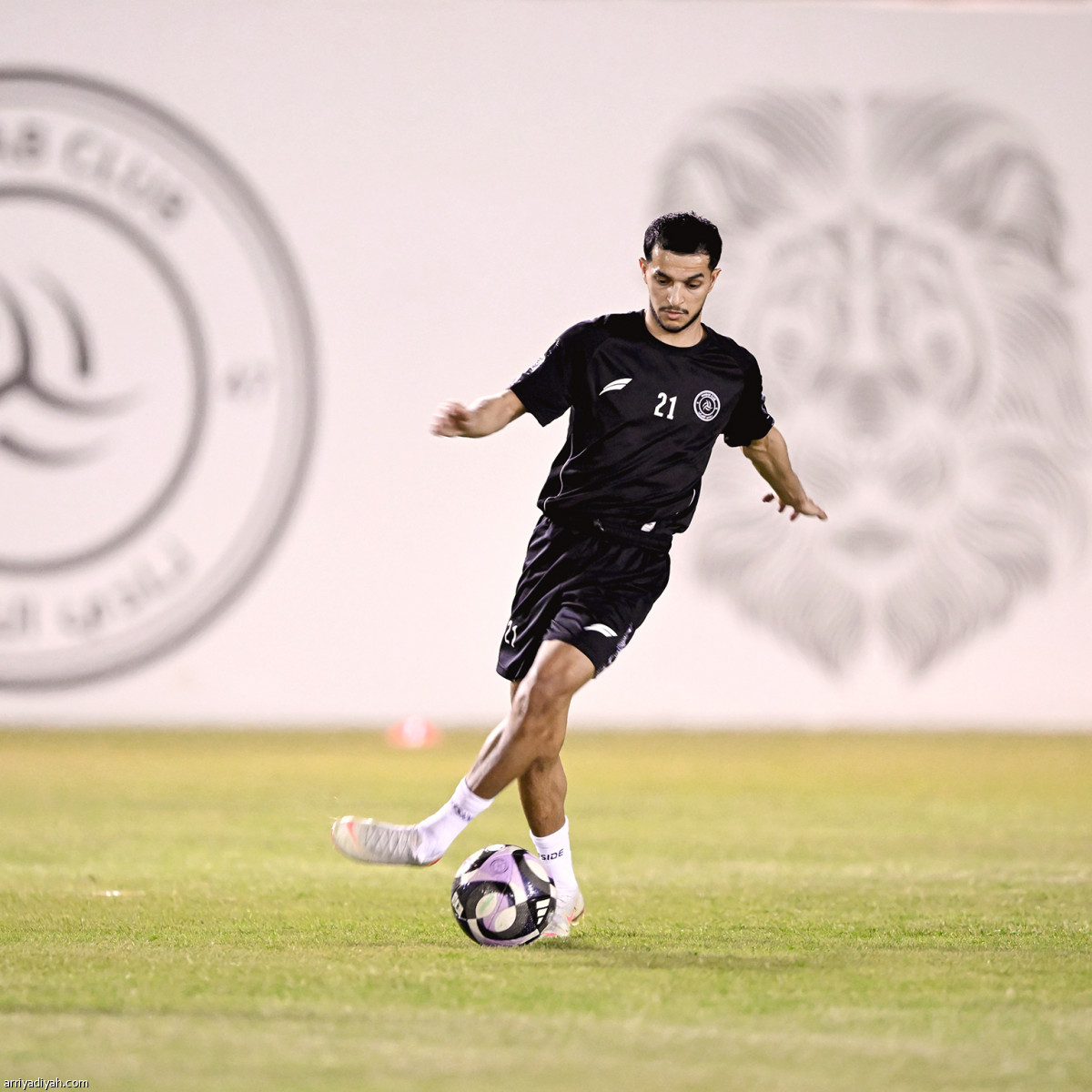 الليوث تتأهب