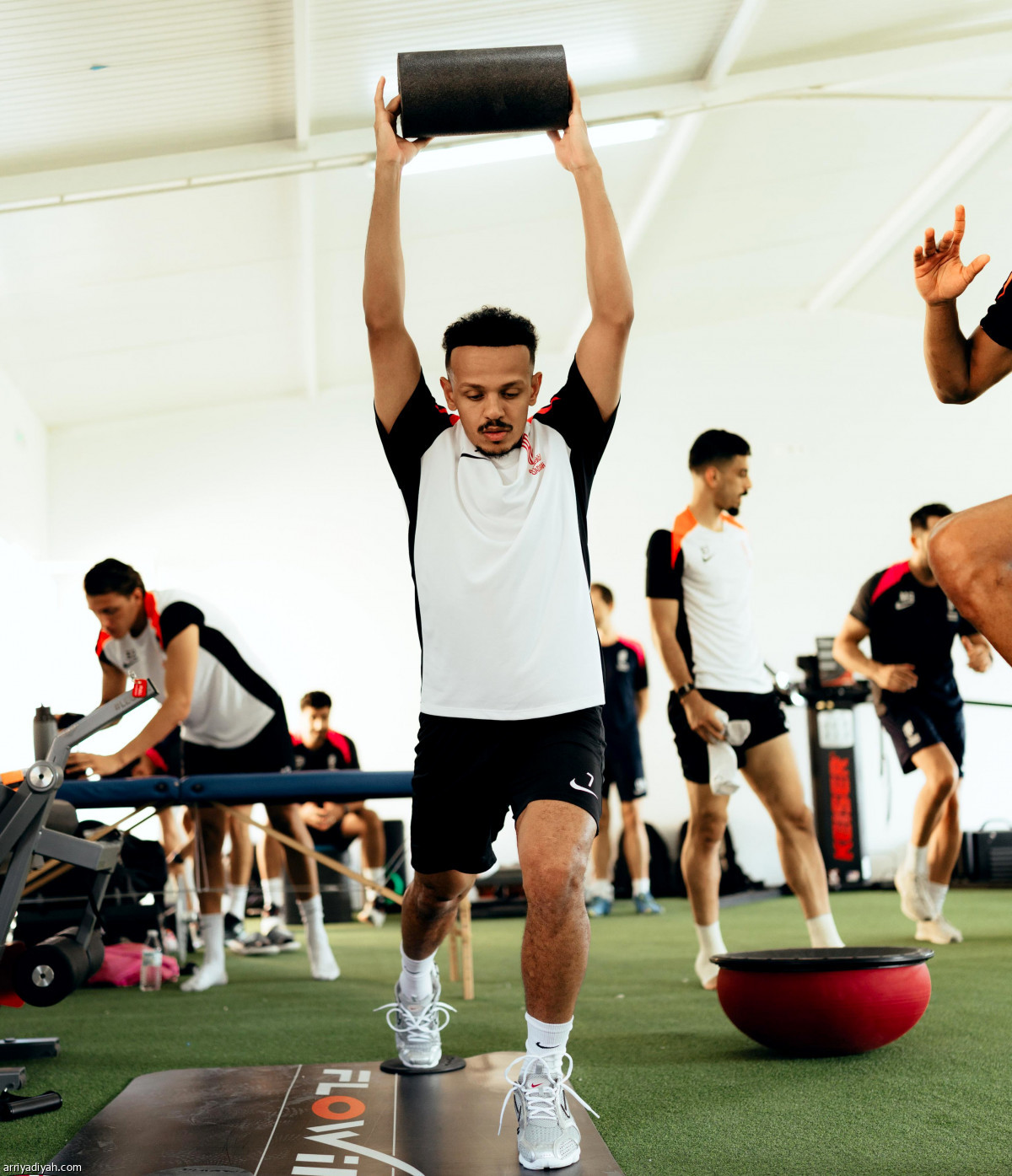 العمار يظهر