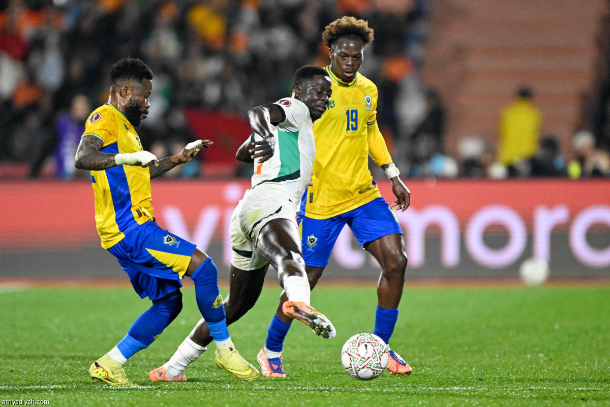 «الأفيال» يعودون