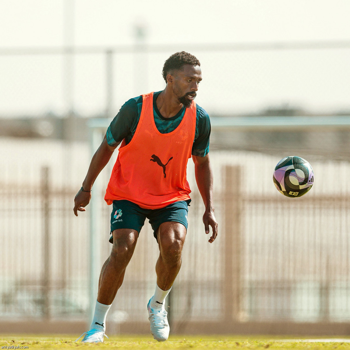 مناورة نيوم