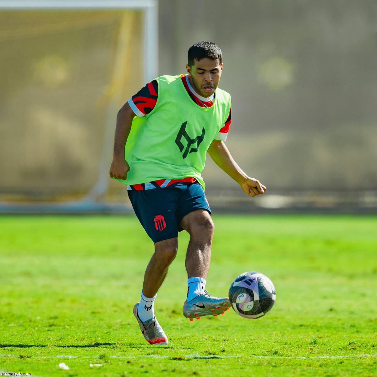 كارينيو يناور