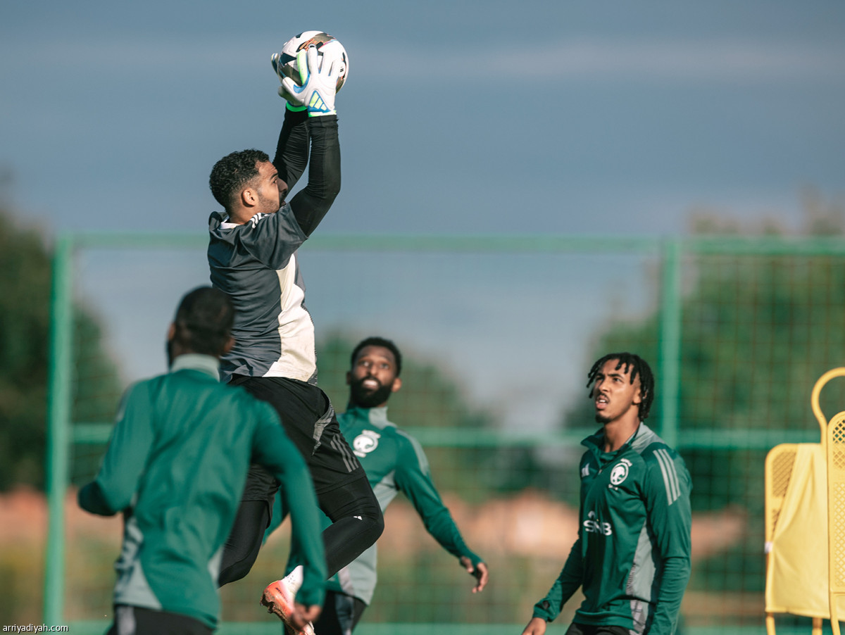 الأخضر يناور